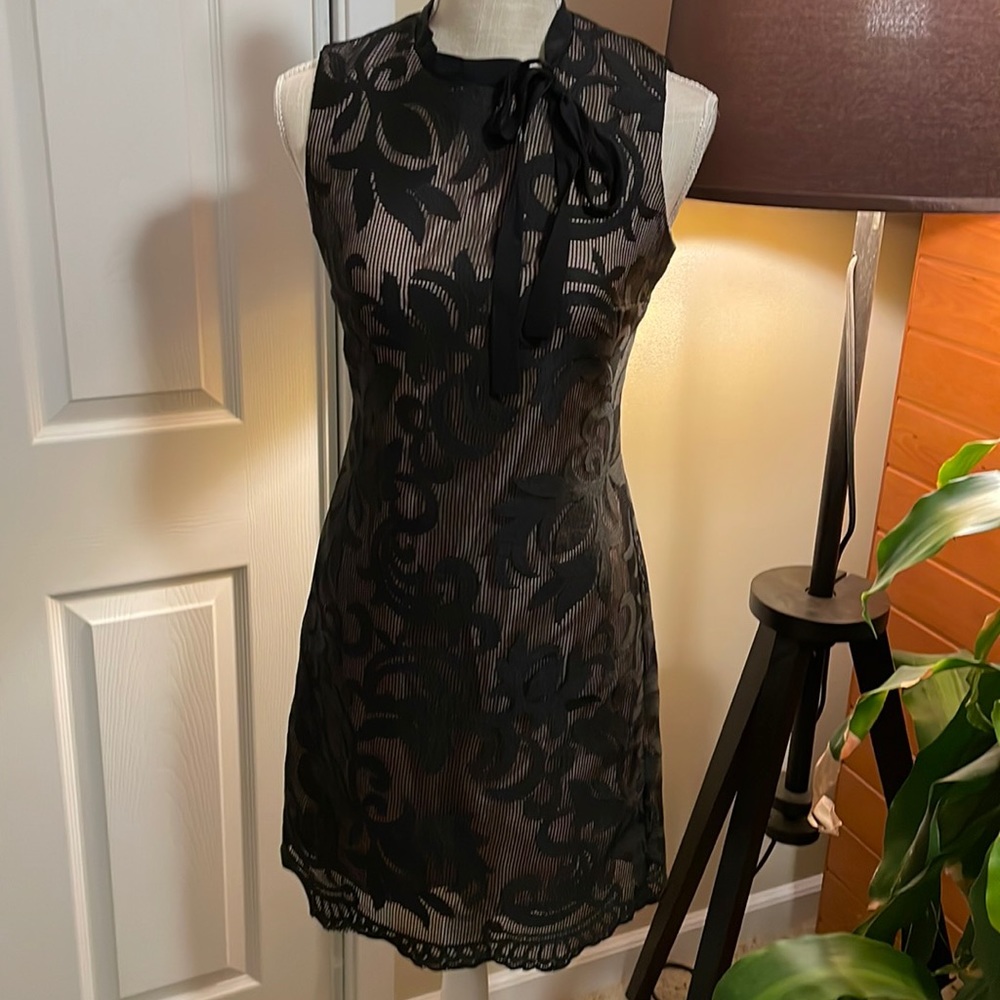 Forest Lily black lace over tan lined dress
